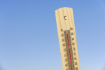 Ученые спрогнозировали рекордную жару в 2024 году