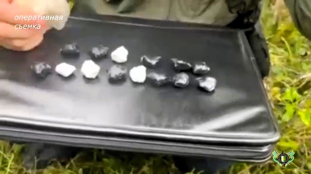 Двое граждан Кубы задержаны за сбыт наркотиков в Абхазии