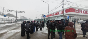 Запрет на вывоз мимозы или трипс ко второму туру