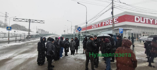 Запрет на вывоз мимозы или трипс ко второму туру