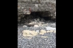 Шторм повредил береговую подпорную стену на ж/д полотне 