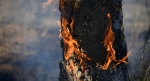 В окрестностях села Мцара горит лес