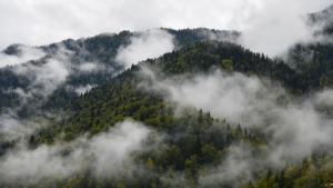 Синоптики спрогнозировали погоду в Абхазии