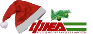 Поздравление народа Абхазии с Новым Годом - от РПП ФНЕА!