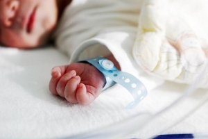 В прошлом году зарегистрировано 1 404 новорожденных
