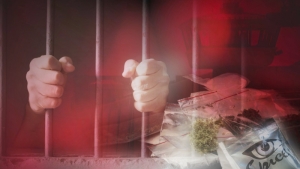 В Абхазии вступил в силу закон, ужесточающий наказание за незаконный оборот наркотиков в особо крупном размере