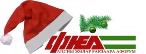 Новогоднее поздравление от РПП ФНЕА