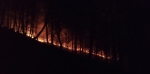 Лесной пожар в окрестностях села Дзыгута Сухумского района