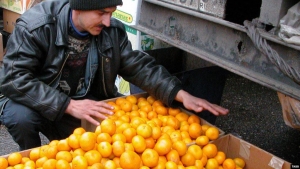 Больше урожай мандаринов – больше жалоб на границе