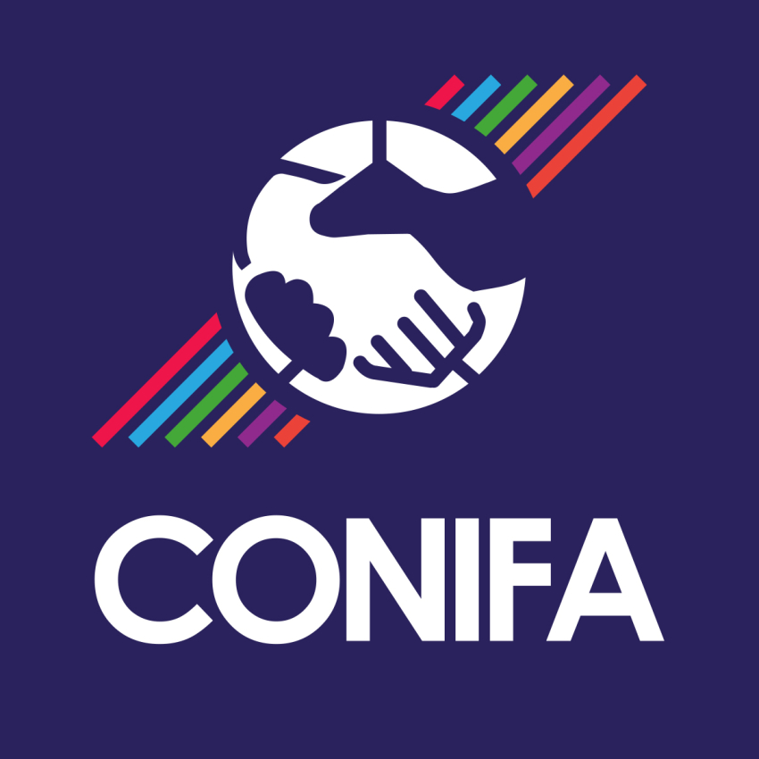Чемпионат мира ConIFA 2024 в Иракском Курдистане перенесен
