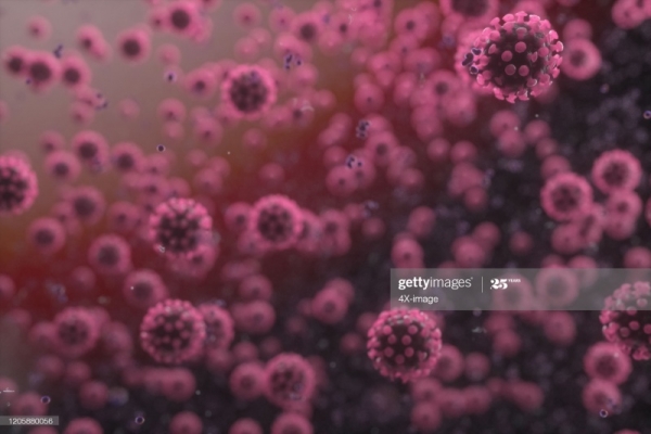 71 заболевших коронавирусом за сутки - новый рекорд