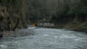 МЧС Абхазии две недели ищет ребенка, упавшего в горную реку