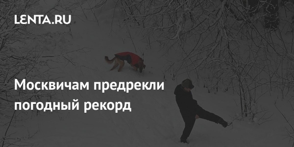 Москвичам предрекли погодный рекорд