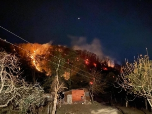 Лесные пожары в Гагрском и Гудаутском районах